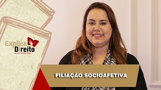 Explica Direito Filiação Socioafetiva  2019 [upl. by Uolyram]